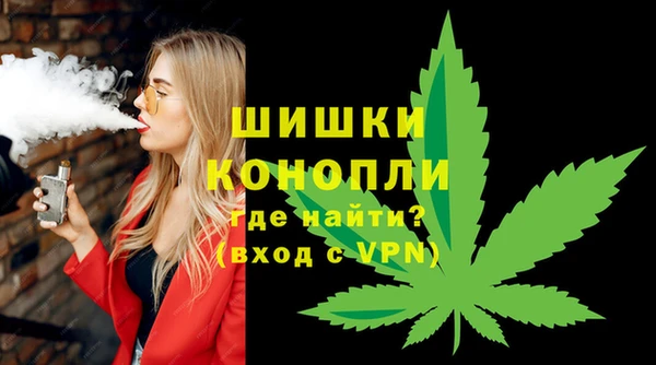 стаф Инта