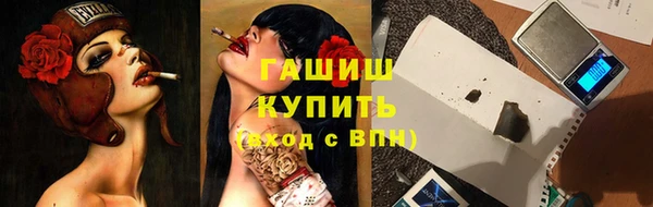 твердый Инсар