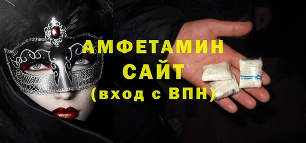 стаф Инта