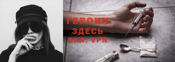 стаф Инта