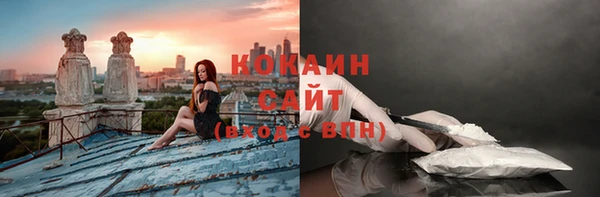 стаф Инта