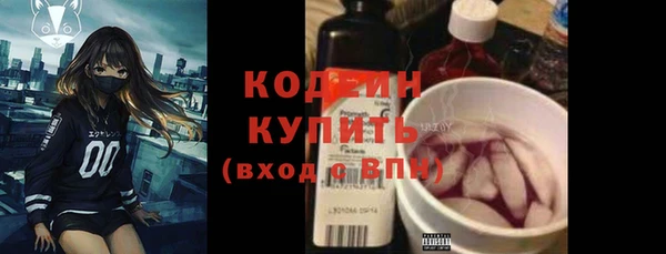твердый Инсар