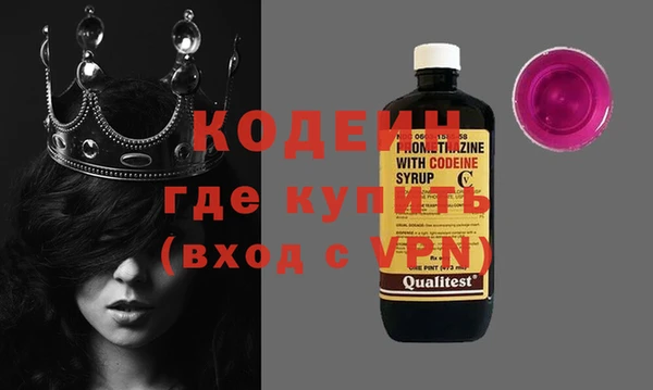 твердый Инсар