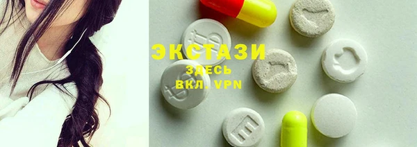 стаф Инта