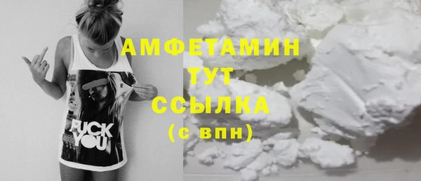 стаф Инта