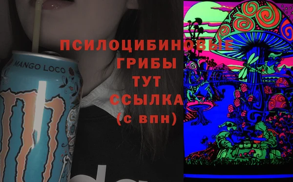 твердый Инсар