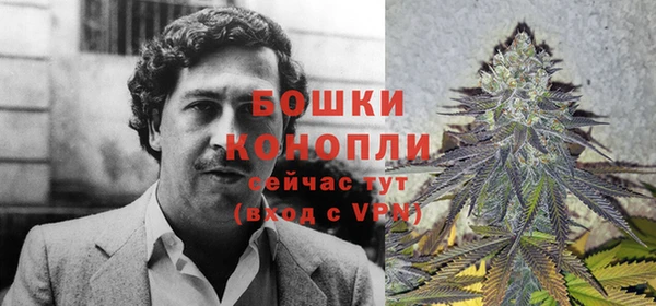 твердый Инсар