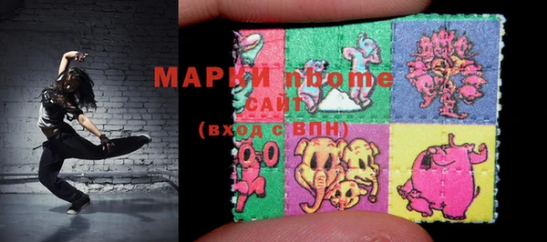 твердый Инсар