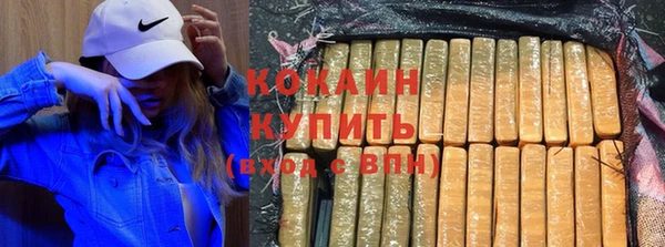 стаф Инта