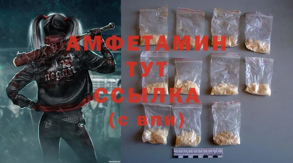 стаф Инта