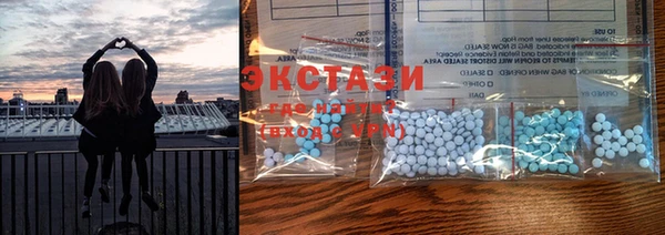 стаф Инта