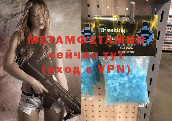 стаф Инта