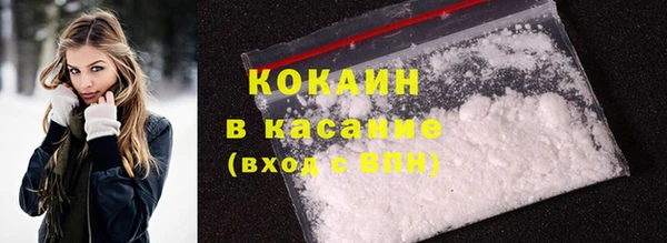 стаф Инта