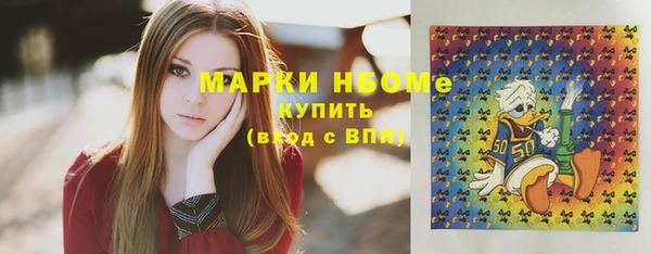 стаф Инта