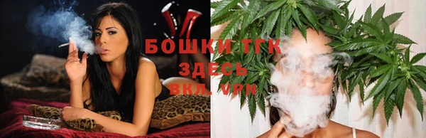 твердый Инсар