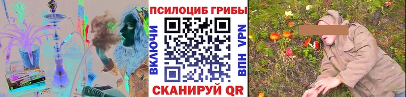 Псилоцибиновые грибы GOLDEN TEACHER  Купить где  Курчатов 